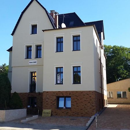 Guest House Altes Forstamt 埃伯斯瓦尔德菲诺 外观 照片