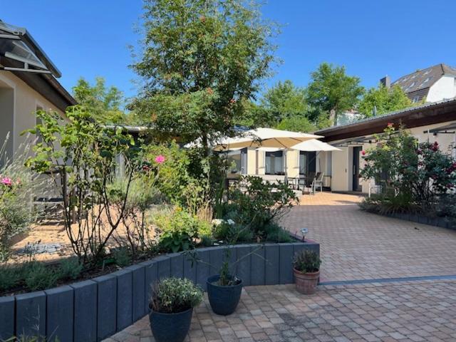 Guest House Altes Forstamt 埃伯斯瓦尔德菲诺 外观 照片